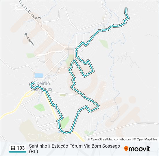 Mapa da linha 103 de ônibus