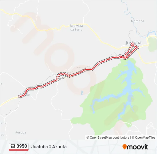 3950 Bus Line Map