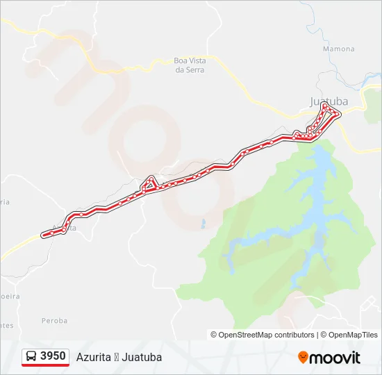 3950 Bus Line Map
