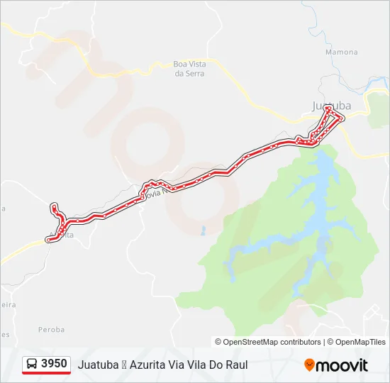 3950 Bus Line Map