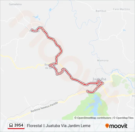 3954 Bus Line Map