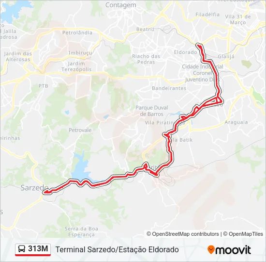 313M Bus Line Map