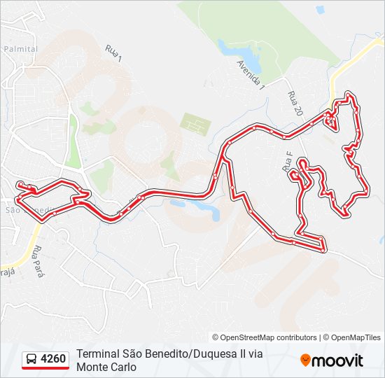 Rota da linha 010: horários, paradas e mapas - Brumadinho → Toca Via  Maricota (Atualizado)