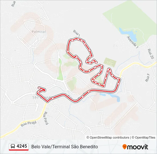 4245 Bus Line Map