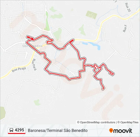 4295 Bus Line Map