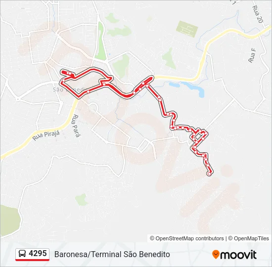4295 Bus Line Map