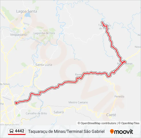 4442 Bus Line Map