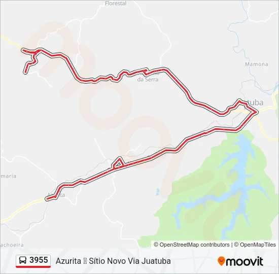 3955 Bus Line Map