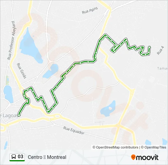 03 Bus Line Map