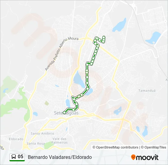 05 Bus Line Map