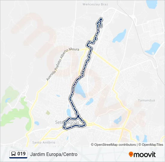 019 Bus Line Map