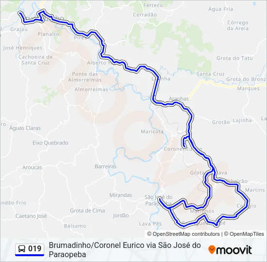 019 Bus Line Map