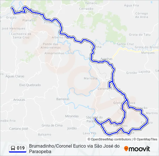 019 Bus Line Map