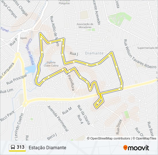 313 bus Line Map