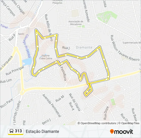 313 Bus Line Map