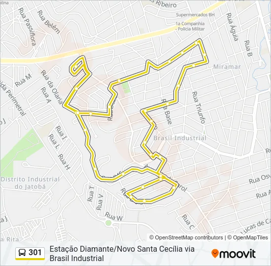 301 Bus Line Map