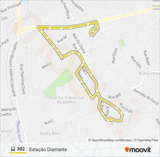 302 Bus Line Map
