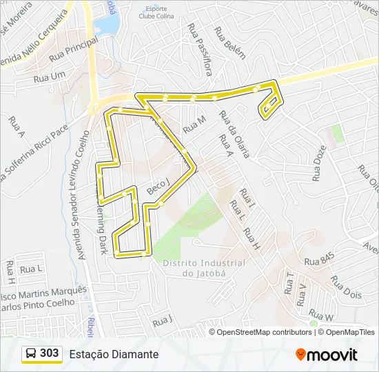 303 Bus Line Map