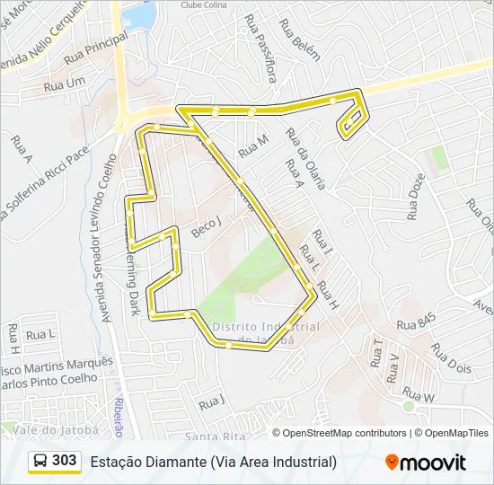 303 Bus Line Map