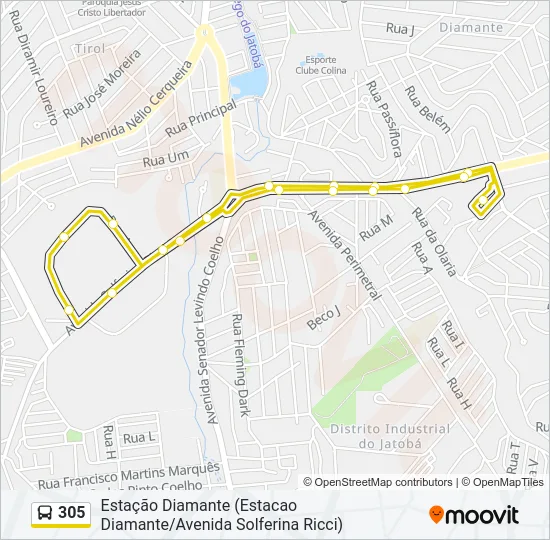 305 Bus Line Map