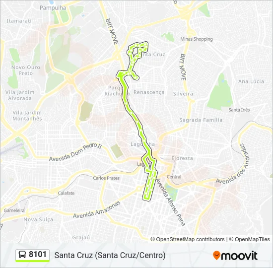 8101 Bus Line Map