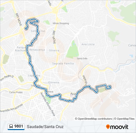 9801 Route: Schedules, Stops & Maps - Saudade (Updated)