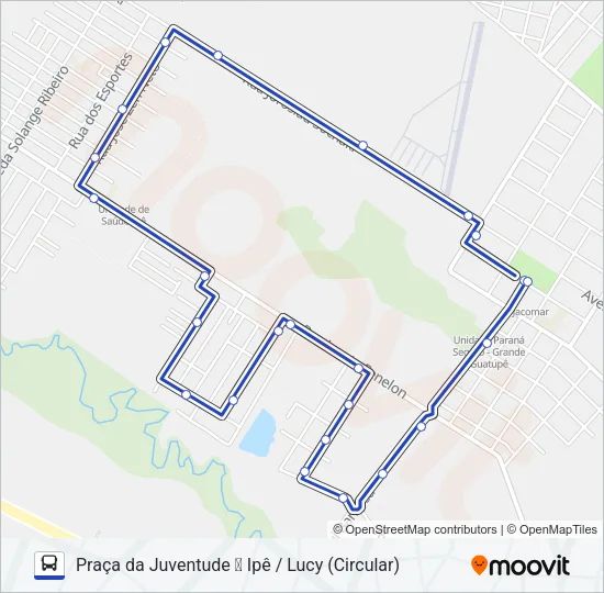 215 PIT PRAÇA DA JUVENTUDE / IPÊ - LUCY Bus Line Map