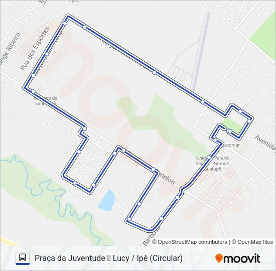 215 PIT PRAÇA DA JUVENTUDE / IPÊ - LUCY Bus Line Map