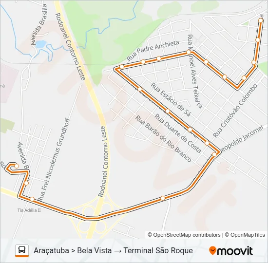 D31 BELA VISTA Bus Line Map