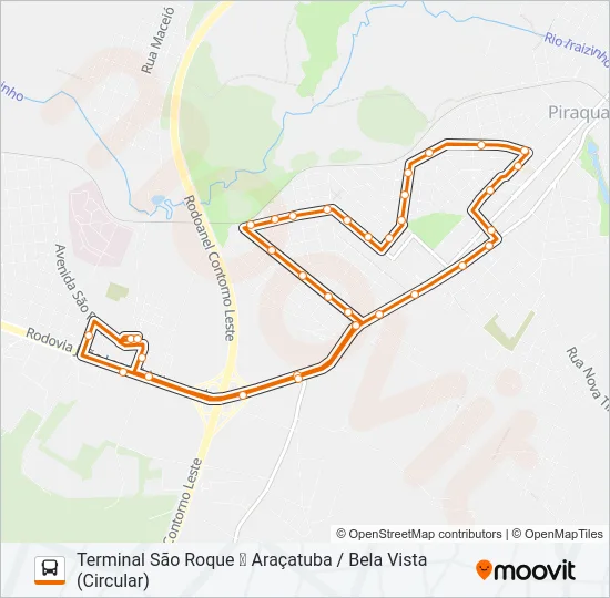 D31 BELA VISTA Bus Line Map