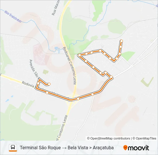D31 BELA VISTA Bus Line Map