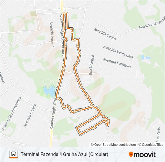 F15 GRALHA AZUL Bus Line Map