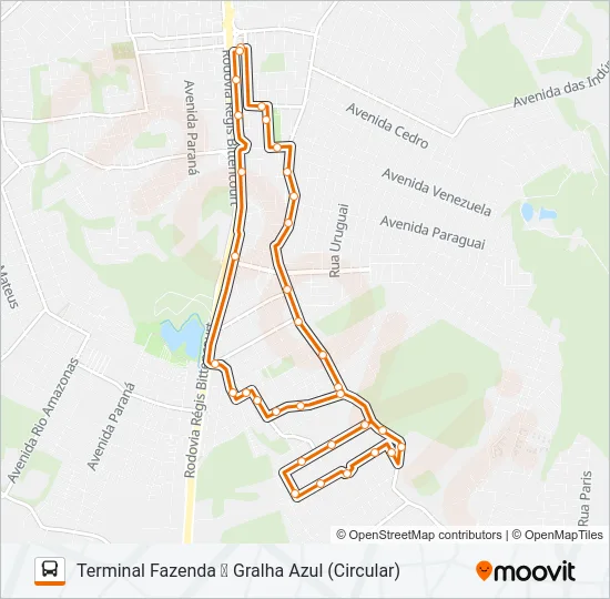 F15 GRALHA AZUL Bus Line Map