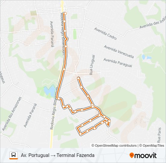 F15 GRALHA AZUL Bus Line Map