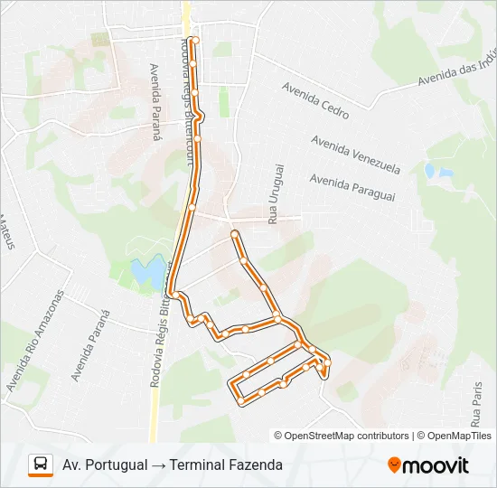 F15 GRALHA AZUL Bus Line Map