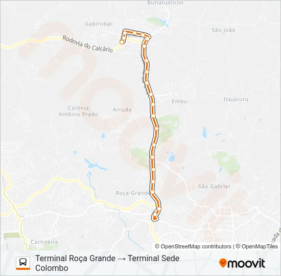 S19 SEDE / ROÇA GRANDE Bus Line Map