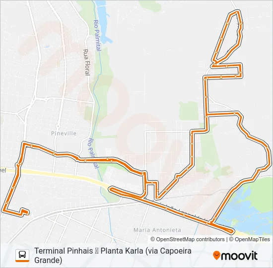 C22 PLANTA KARLA / PIO XII Bus Line Map