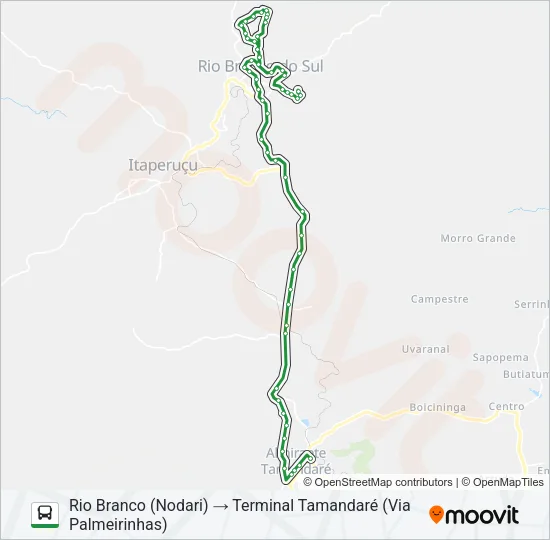 L11 RIO BRANCO / TAMANDARÉ Bus Line Map