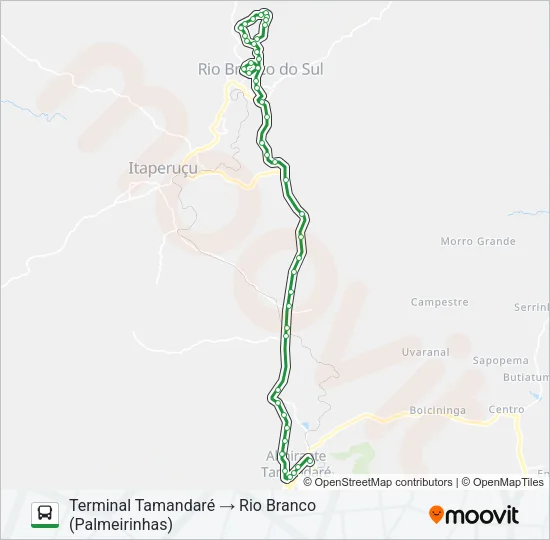 L11 RIO BRANCO / TAMANDARÉ Bus Line Map