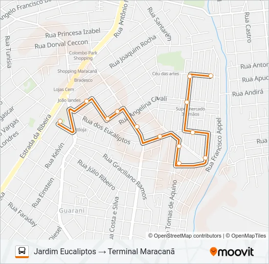 B56 ANA TERRA (VIA ADRIANE) / JARDIM EUCALIPTOS Bus Line Map