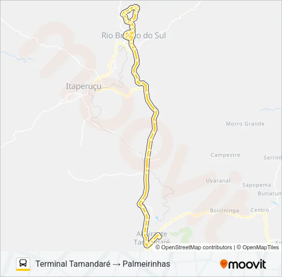L01 RIO BRANCO / PRAÇA 19 (VIA TAMANDARÉ / LAMENHA) Bus Line Map