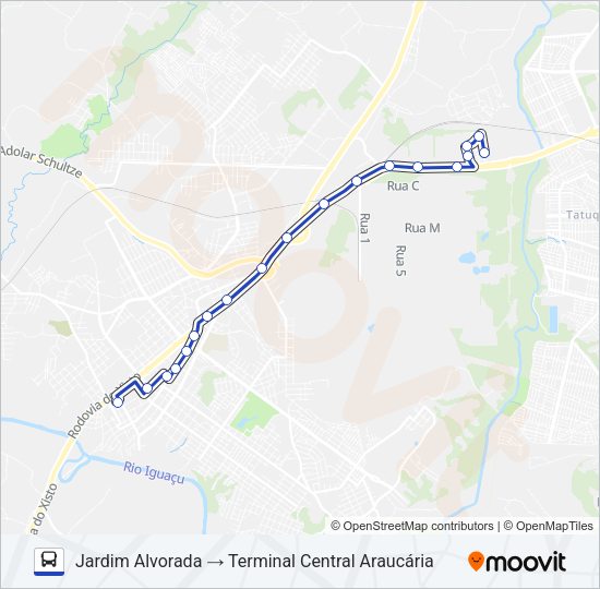 S31 ALVORADA Bus Line Map