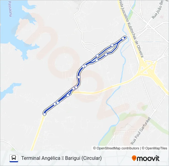 S19 BARIGUI / ANGÉLICA Bus Line Map