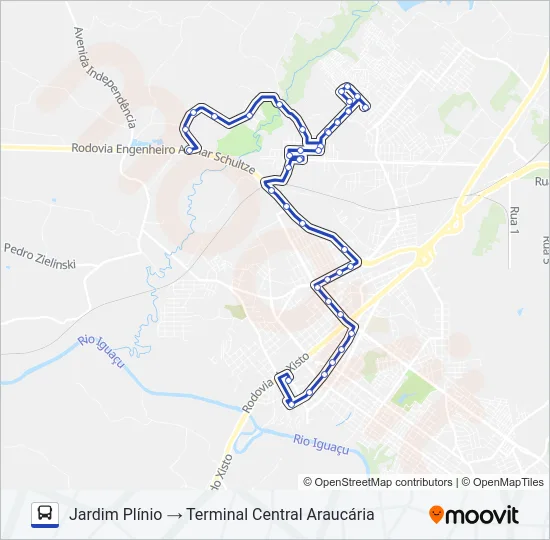 S39 JARDIM PLÍNIO / RODOVIÁRIA Bus Line Map
