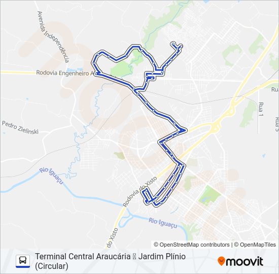 Mapa da linha S39 JARDIM PLÍNIO / RODOVIÁRIA de ônibus