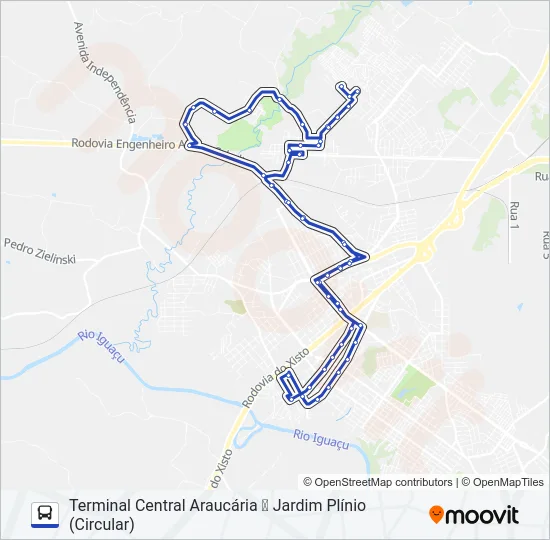 S39 JARDIM PLÍNIO / RODOVIÁRIA Bus Line Map