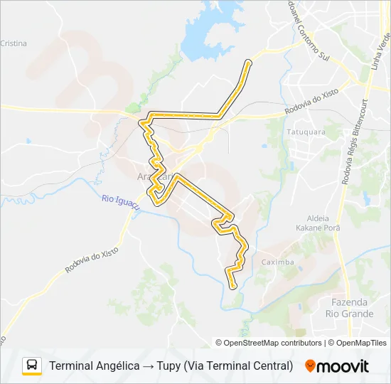 I01 LINHÃO 01 (ANGÉLICA / TUPY) Bus Line Map