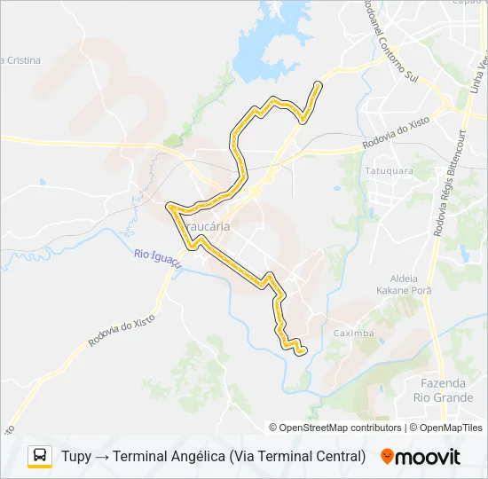 I02 LINHÃO 02 (ANGÉLICA / TUPY) Bus Line Map