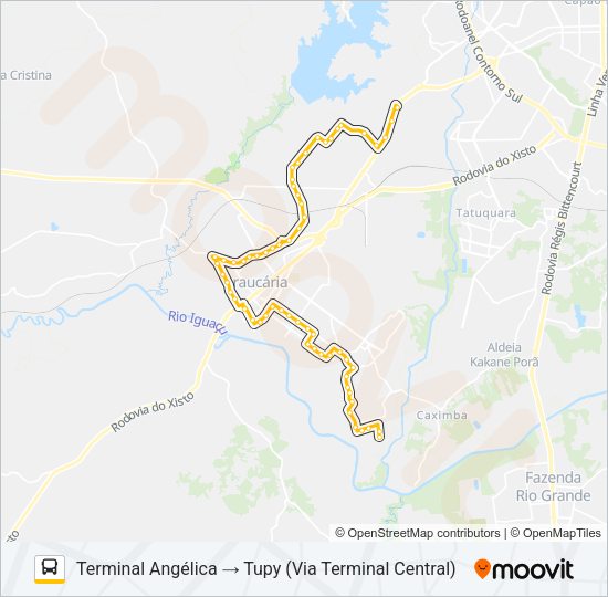 Mapa da linha I02 LINHÃO 02 (ANGÉLICA / TUPY) de ônibus