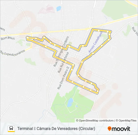 119 CÍVICA Bus Line Map